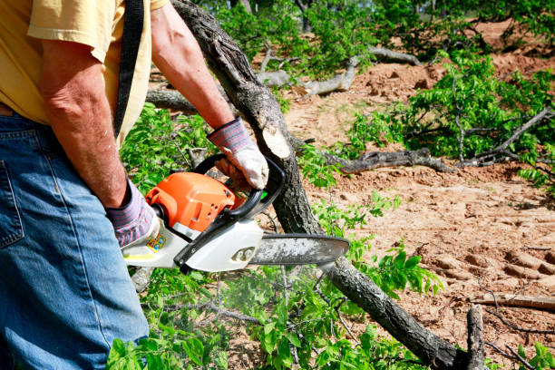 Best Utility Line Clearance  in Lincroft, NJ